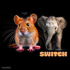 halF switcH [disquiet0673]