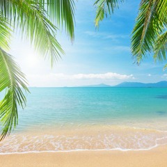 Trisan (DJSYL) Keys By Dogan Imperial