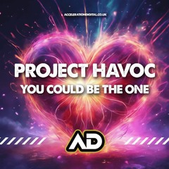 Project Havoc - You Could Be The One