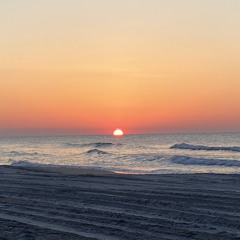 vixen st. (credit: mvlfoy)