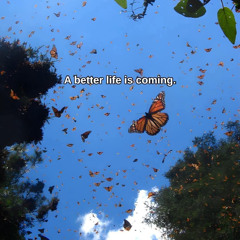 daslifeiguess...PARANOID andcrystal castles DEICIDE