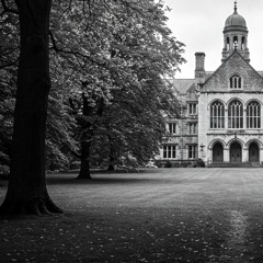 Aula Regis (At the King's Hall) | Special Topic