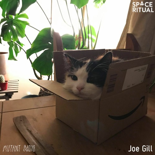 Joe Gill [Space Ritual Session]
