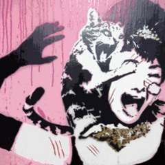 Cats (prod miir)