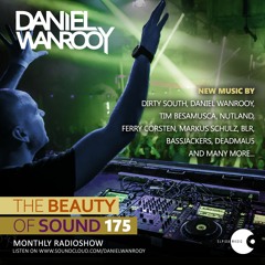 Daniel Wanrooy - The Beauty Of Sound 175