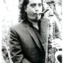 Fungii Mama Ward's Rafters August 17 1997