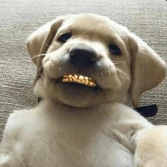 The Corner (prod.by Surp-Izzy)