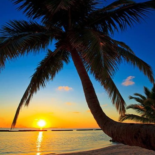 Dream Inside (Extended Mix)