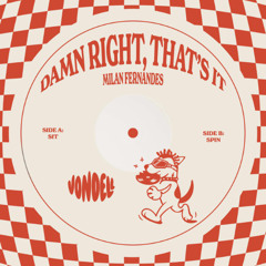 PREMIERE: Milan Fernandes - Damn Right, Thats It