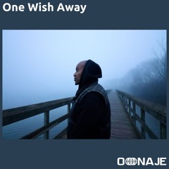 One Wish Away