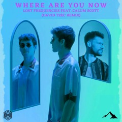 Lost Frequencies ft. Calum Scott - Where Are You Now (David Tzec Remix)