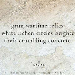 haiku #414: grim wartime relics / – white lichen circles brighten / their crumbling concrete