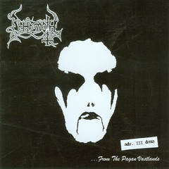 The Oak Between the Snows