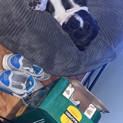 (Remix) The one that got away x club bizarre (hard techno)