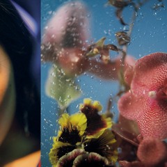 i got my account suspended with my valuable words