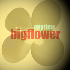 anytime