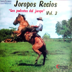 El Pajarillo