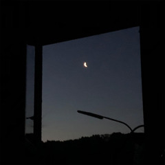 schmetterlinge sterben - edo saiya