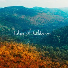 Colors Of Wilderness