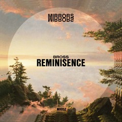 LTR Premiere: Bross (RO) - Reminisence [Mirrors]