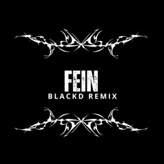 FEIN BLACKD RMX