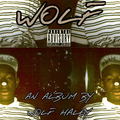 Tyler, The Creator - Half N Half (WOLF V1 ERA)