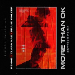 R3HAB & Clara Mae & Frank Walker - More Than OK (Skytech Remix)