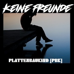 Keine Freunde Hardtekk by PBK Music
