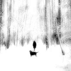 Synced Psycho - Minimal Animal