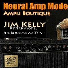 Jim Kelly Reverb Model