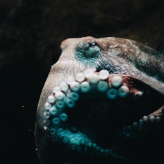 Inevitable Corruption