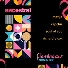 Ancestral • Flamingos (Soul Of Zoo) [Kosa]