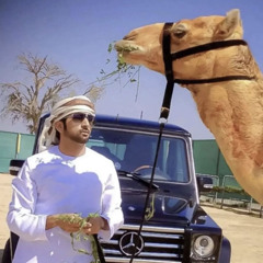 الـهجن (MASHUP )