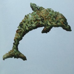 Weed Dolphin