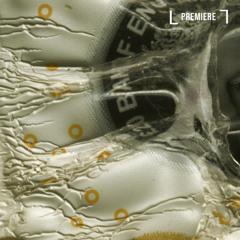 對的方式一起散步