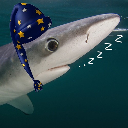 eepy sharb (clib)