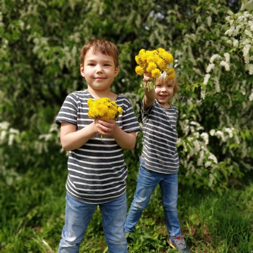 Spring (remake)