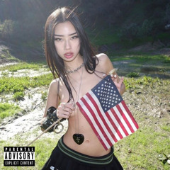 AMERICAN WAR ZONE DREAM