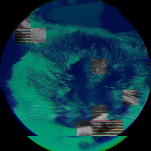 signal in the Dead_God's Hand...wav