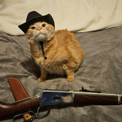 Sims OST @midlyig #jc