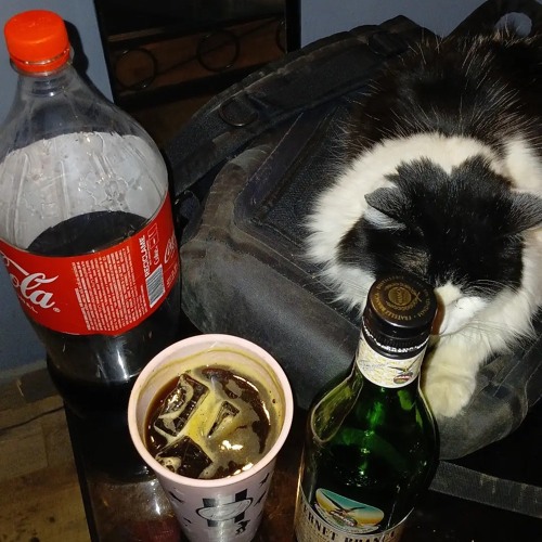 LOS RE BEPIS ft sinese,unoc,herrera,fefe,lk,fvkk