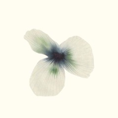 Equanimity