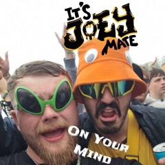 Its Joey Mate - On Your Mind (Free Download)