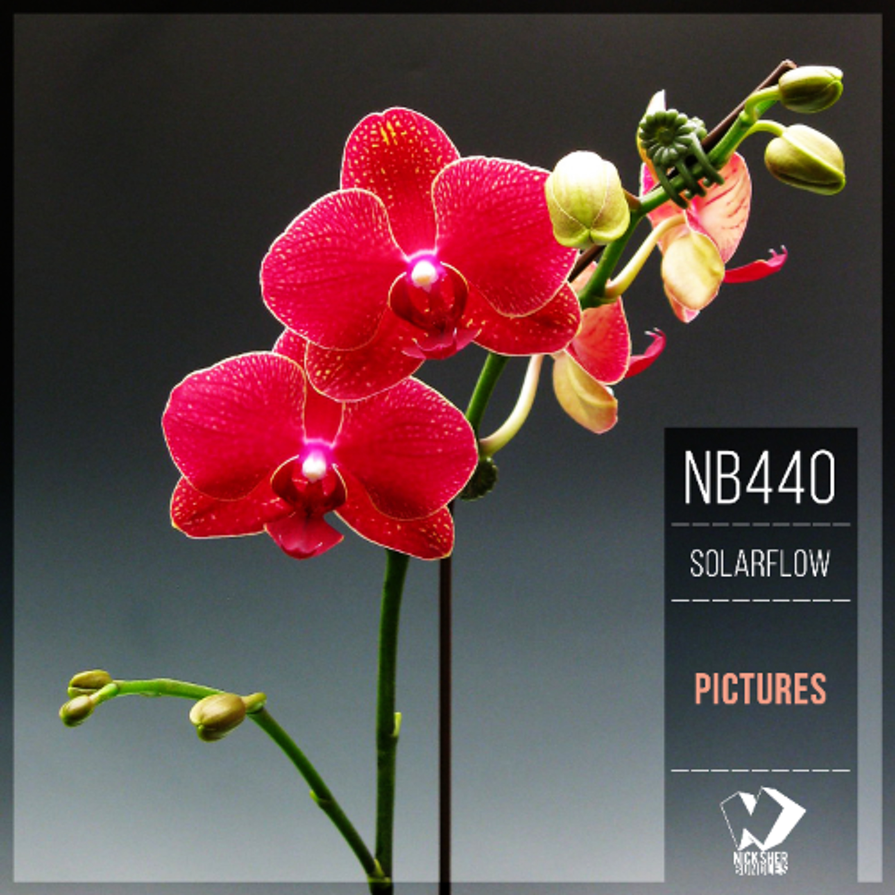 SolarFlow - Pictures (Original Mix) episode artwork