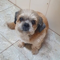 one day the pain will soften (Zacky Tribute)