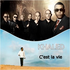 C'est la vie X Danza kuduro remix mashup 2025