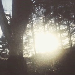 I went to the stars (interlude)