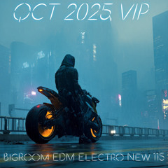 BigRoom EDM Electro🔥VOL.2026/11/13(FreeDownload)(AI Music Editing) DJDXG