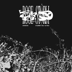 Rose Storm (prod. Yasmine Des Astres)
