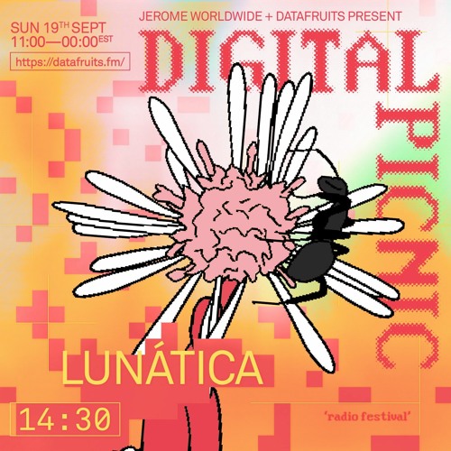 JEROME WORLDWIDE DIGITAL PICNIC - LUNATICA